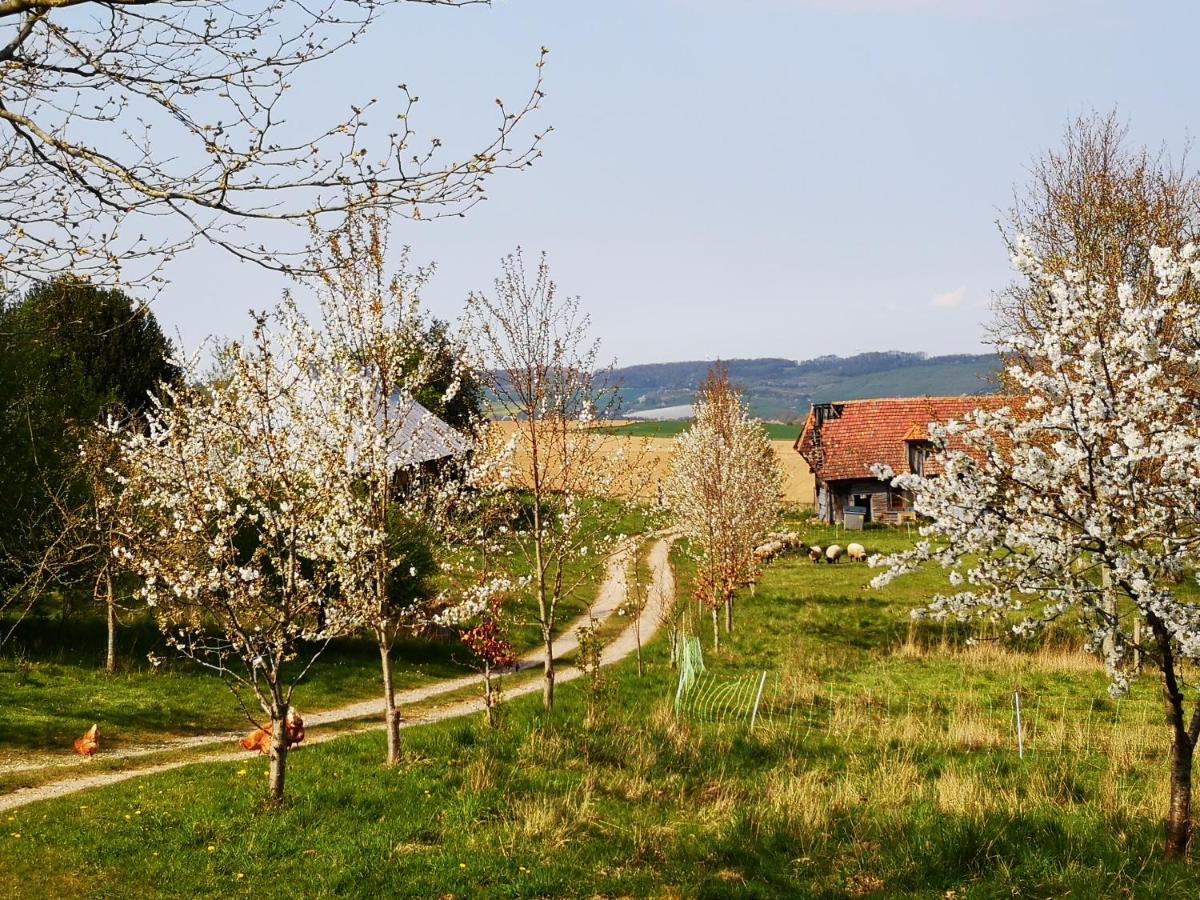 Nature Monchy Campneuseville Kültér fotó