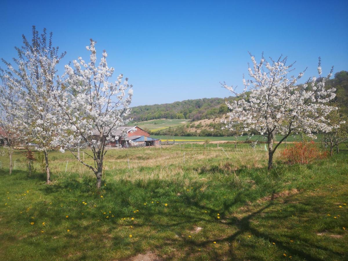 Nature Monchy Campneuseville Kültér fotó