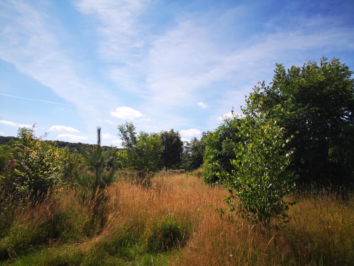 Nature Monchy Campneuseville Kültér fotó